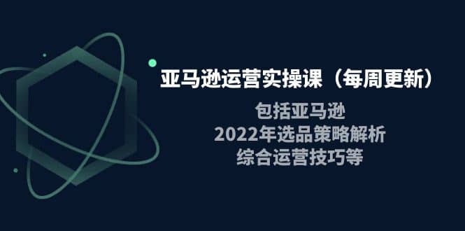 亚马逊运营实操课（每周更新）包括亚马逊2022选品策略解析，综合运营技巧等-搞钱帮