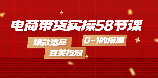 电商带货实操58节课，爆款选品，豆荚投放，0-1的搭建-搞钱帮