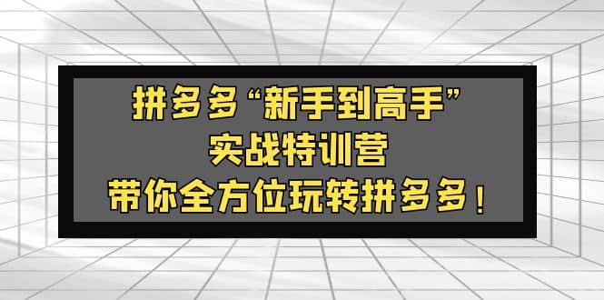 拼多多“新手到高手”实战特训营：带你全方位玩转拼多多-搞钱帮