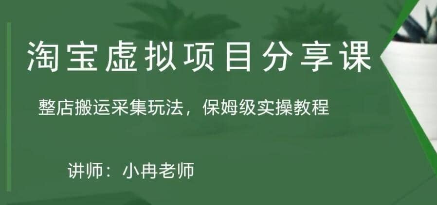 淘宝虚拟整店搬运采集玩法分享课：整店搬运采集玩法，保姆级实操教程-搞钱帮