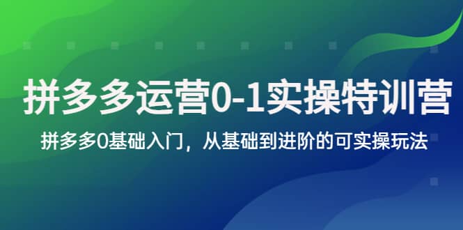 拼多多-运营0-1实操训练营，拼多多0基础入门，从基础到进阶的可实操玩法-搞钱帮